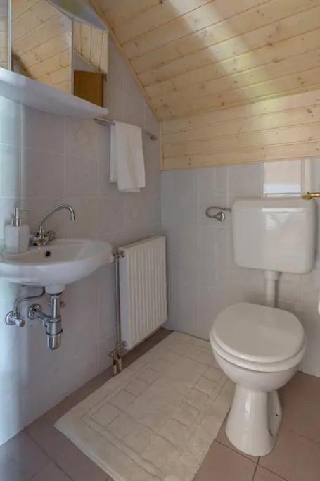 Chalet Mia - Family Cottage, Kranjska Gora กอซด์มาร์ทูลเย็ก ภายนอก รูปภาพ